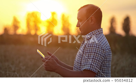 Farmer types report about growth of wheat on sunset field 95034812