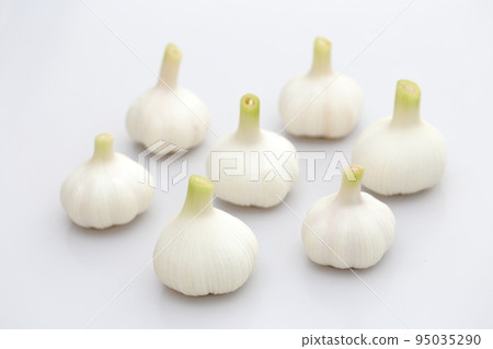 新鮮大蒜 新鮮大蒜 95035290
