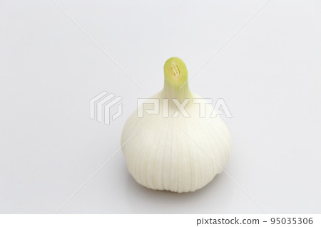 Fresh garlic Fresh garlic 95035306