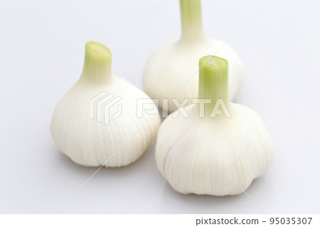 Fresh garlic Fresh garlic 95035307
