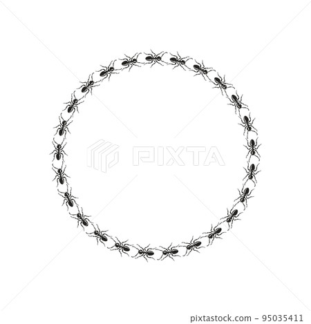 Ants walk in circle. Insect frames. Vector illustration. Ants walk in circle. Insect frames. Vector illustration. 95035411