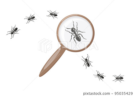 Ant under magnifying glass. Insect research. Concept. 95035429