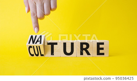 Nature and Culture symbol. Businessman hand points at turned wooden cubes with words Culture and Nature. Beautiful yellow background. Business concept. Copy space. 95036425
