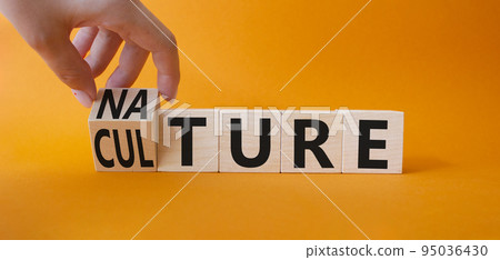 Nature and Culture symbol. Businessman hand turnes wooden cubes and changes word Culture to Nature. Beautiful orange background. Business concept. Copy space. 95036430