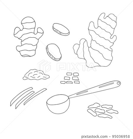 Ginger root, whole, slices and powder in spoon set simple outline vector illustration, Japanese traditional spice culinary ingredient 95036958
