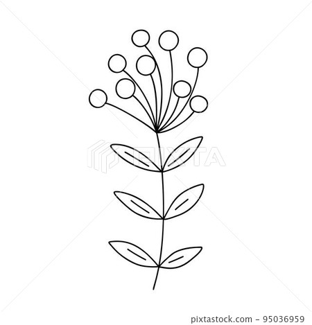 Outline plant decorative branch with leaves and berries for home decor, Christmas, New Year festive holiday arrangement, vector illustration for seasonal greeting card, invitation, banner 95036959