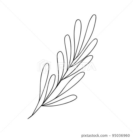 Outline plant decorative branch with leaves and berries for home decor, Christmas, New Year festive holiday arrangement, vector illustration for seasonal greeting card, invitation, banner 95036960
