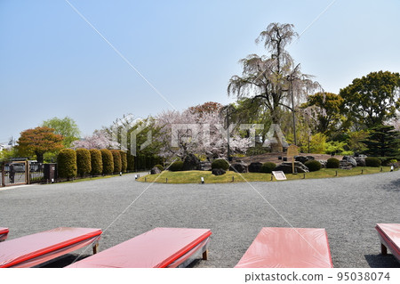 日本京都府京都市,春天的東寺,盛開的櫻花和美麗的日式花園,在該處經營的茶館的紅色長椅 日本京都府京都市,春天的東寺,盛開的櫻花和美麗的日式花園,在該處經營的茶館的紅色長椅 95038074