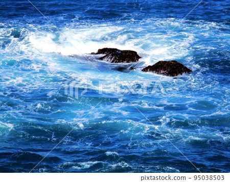 Northeast coast Northeast coast 95038503