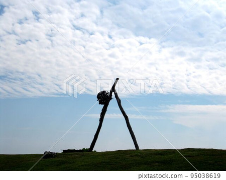 東海岸 東海岸 95038619