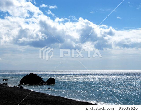 東海岸 東海岸 95038620