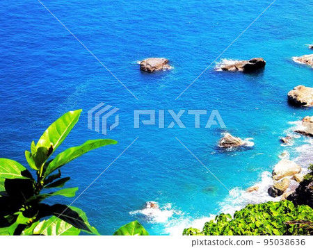 東海岸 東海岸 95038636