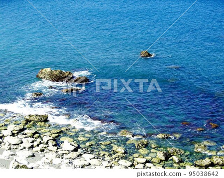 東海岸 東海岸 95038642