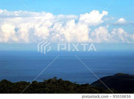東海岸 東海岸 95038656