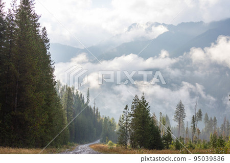 Fog in the mountains Fog in the mountains 95039886