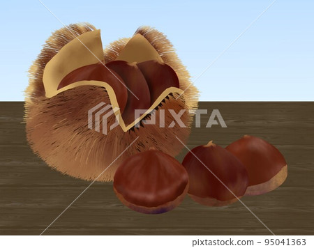 Chestnut right side on the table 95041363