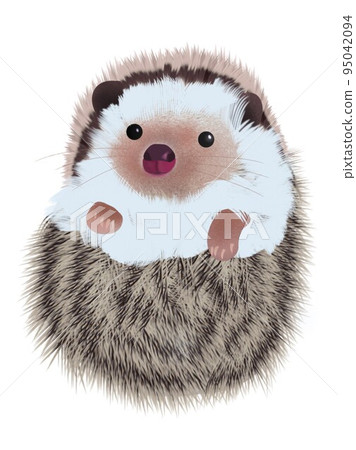 Curled hedgehog single item 95042094