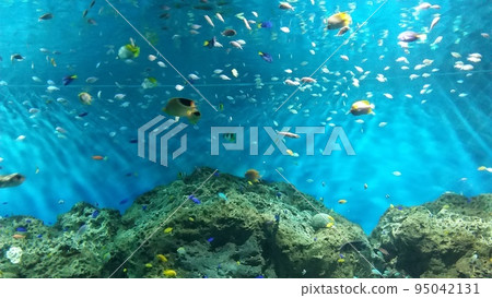 水族世界坦克 2 95042131