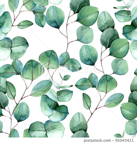 seamless pattern with watercolor eucalyptus leaves. green eucalyptus leaves on a white background. realistic watercolor. print for fabric, wallpaper, postcards seamless pattern with watercolor eucalyptus leaves. green eucalyptus leaves on a white background. realistic watercolor. print for fabric, wallpaper, postcards 95043421