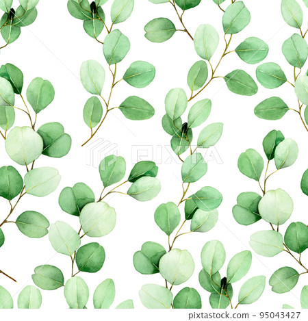 seamless watercolor pattern with eucalyptus leaves on a white background. vintage pattern with green tropical eucalyptus leaves. design for wallpaper, fabric, postcards, covers 95043427