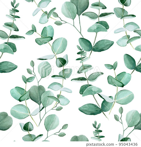 Seamless pattern with watercolor eucalyptus leaves on a white background. Vintage pattern with tropical leaves. Ready design for fabric, wallpaper, wrapper, textile. 95043436
