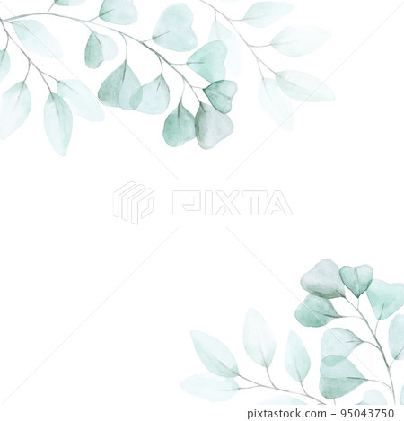 stock illustration watercolor drawing. frame of eucalyptus leaves. Graphic design for wedding decoration, postcards. delicate watercolor drawing on a white background 95043750
