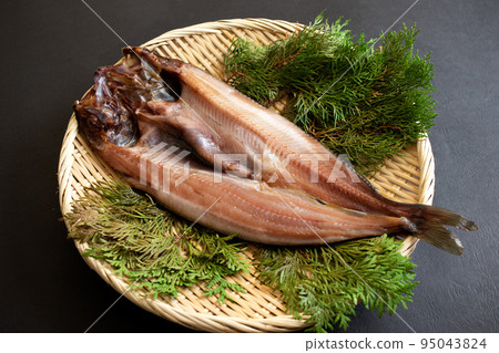 打開曲棍球 95043824