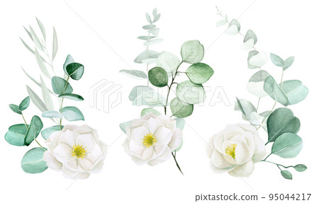 watercolor drawing, a set of bouquets of white rosehip flowers and eucalyptus leaves. clip art design for wedding, flowers and eucalyptus leaves vintage style watercolor drawing, a set of bouquets of white rosehip flowers and eucalyptus leaves. clip art design for wedding, flowers and eucalyptus leaves vintage style 95044217