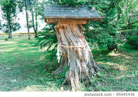 A miraculous resting place in Sasayama Castle 95045436