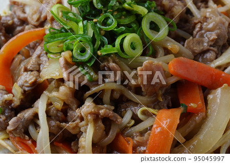 Korean Bulgogi Beef Dishes Korean Bulgogi Beef Dishes 95045997