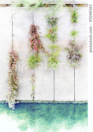 Powerful plants that live near water Powerful plants that live near water 95046563