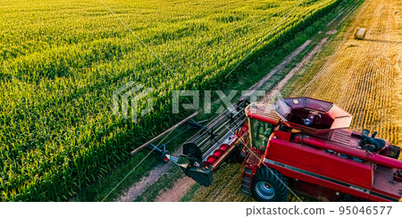 Harvester parked at the edge of corn field 95046577