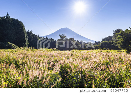 靜岡縣富士宮市朝霧高原的富士山和赤芝 靜岡縣富士宮市朝霧高原的富士山和赤芝 95047720