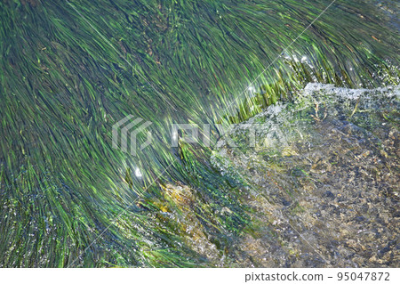 River flow River flow 95047872