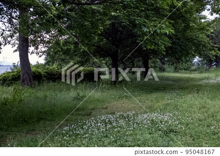 滋賀縣大津市坂本城跡公園風景 95048167