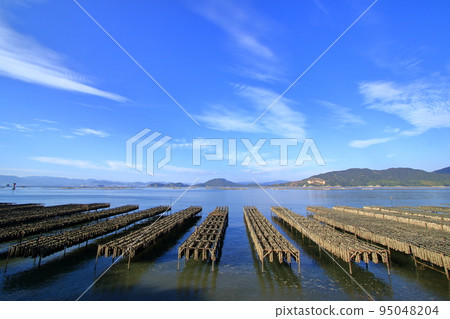 帶牡蠣架的廣島縣瀨戶內海風景 95048204