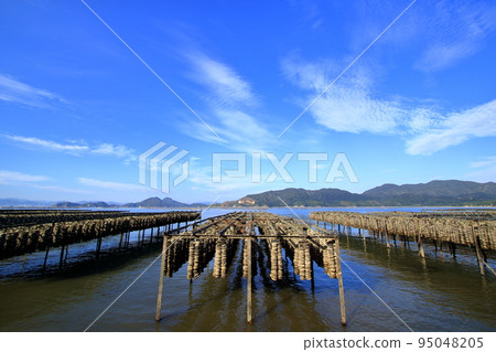 帶牡蠣架的廣島縣瀨戶內海風景 95048205