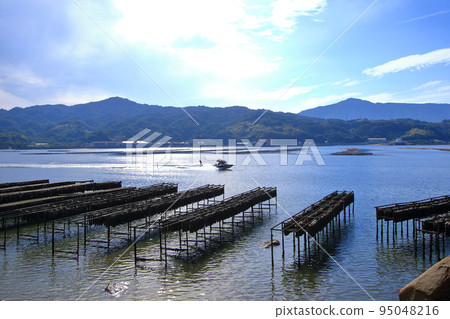 Oyster restraint shelf in Etajima Bay Oyster restraint shelf in Etajima Bay 95048216