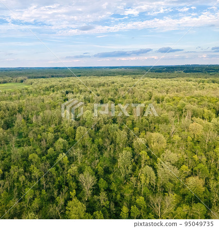 Natural Wilderness in Wisconsin away from mankind Natural Wilderness in Wisconsin away from mankind 95049735