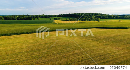Vibrant summertime landscapes in wisconsin 95049774