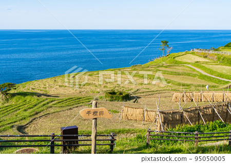 石川縣能登半島收割後的白米千枚田 95050005