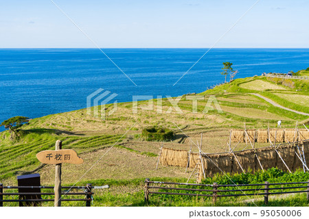 石川縣能登半島收割後的白米千枚田 95050006