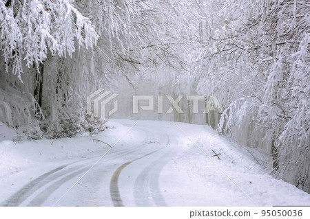 雪山路徑 雪山路徑 95050036