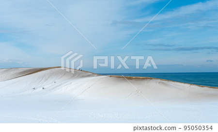 雪景鳥取沙丘 雪景鳥取沙丘 95050354