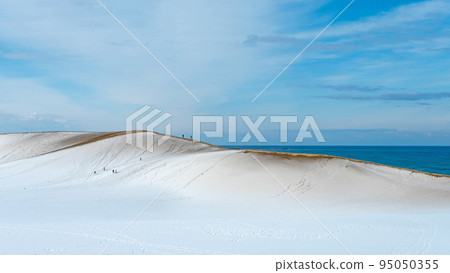 雪景鳥取沙丘 雪景鳥取沙丘 95050355