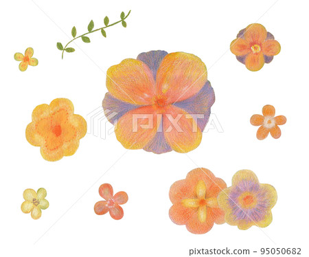 用顏料繪製的帶有可愛設計的花卉插圖集 95050682