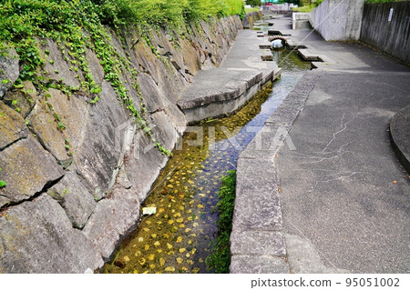 京都龜岡市湖西心水公園(初秋) 京都龜岡市湖西心水公園(初秋) 95051002