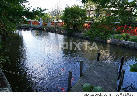 京都龜岡市日枝野神社的和戶味噌池（初秋） 95051035