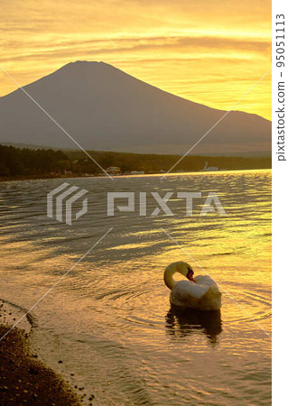 Fuji Five Lakes Yamanakako _No6 Fuji Five Lakes Yamanakako _No6 95051113