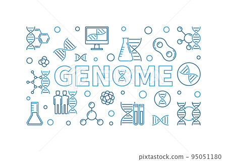 Genome vector outline horizontal illustration or banner Genome vector outline horizontal illustration or banner 95051180
